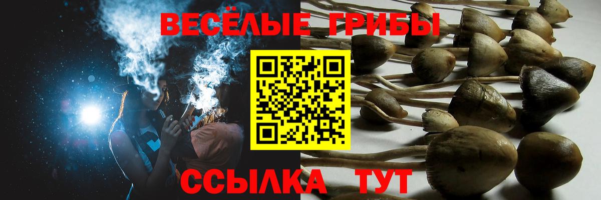 Псилоцибиновые грибы GOLDEN TEACHER  купить наркотики сайты  Мариинск  Вход с VPN 