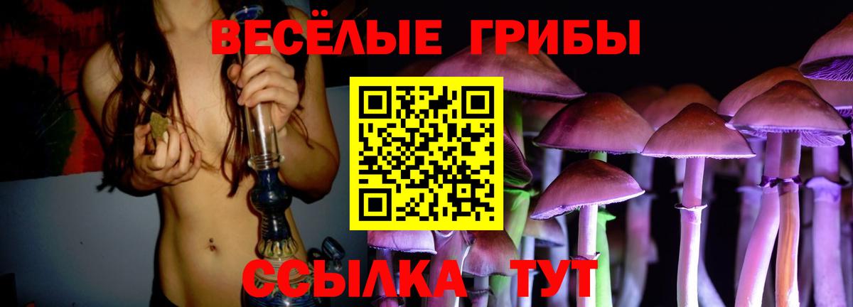 Галлюциногенные грибы MAGIC MUSHROOMS Мариинск